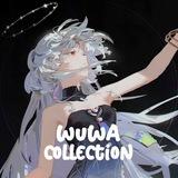 WuWa Collectionˢᶠʷ ⛩️