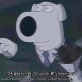 你是我唯一带不走的行李