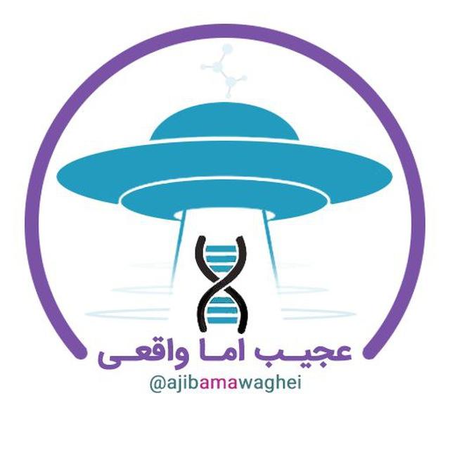 عجیب اما واقعی