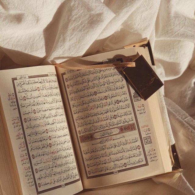 اعلان حلقات قرآنيه🪴.