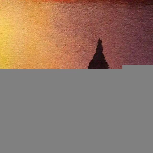 တရားစာပေများ