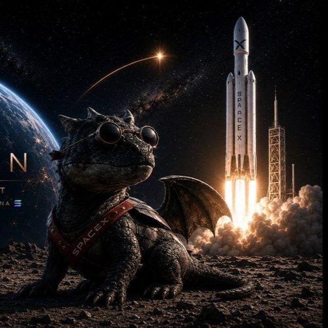 Dragon Space X 🐉🔥
