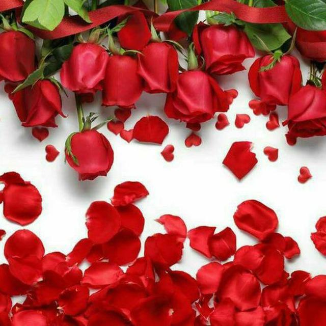 ❤❤كـلام حب ومشاعر رومنسية❤❤