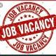 Ethio Job Vacancy ®️