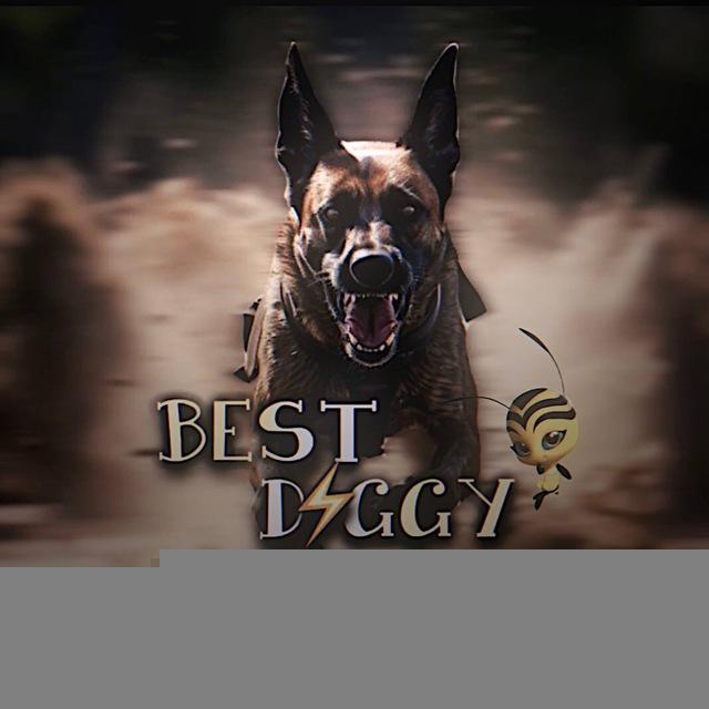Best..Doggy