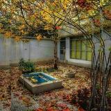 خزان🍂