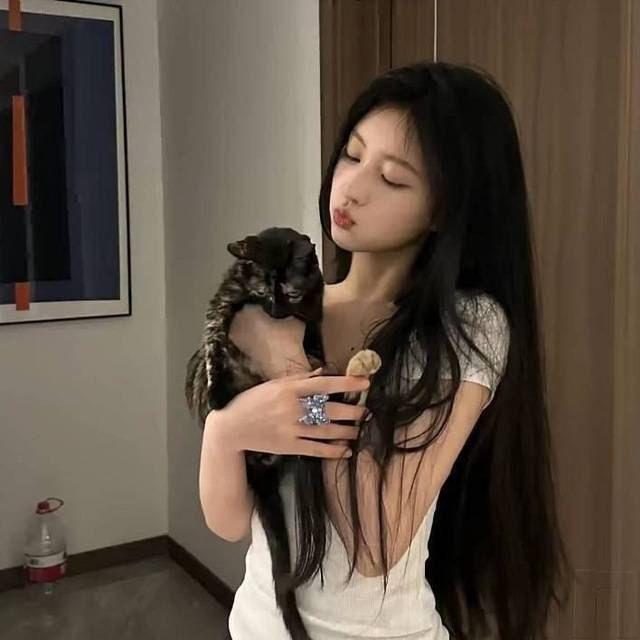 猫猫的私房