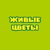 "Живые цветы' п.Горный