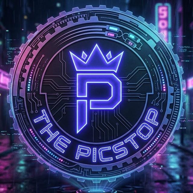ᴛʜᴇ 𝗣𝗜𝗖𝗦𝗧𝗢𝗣™