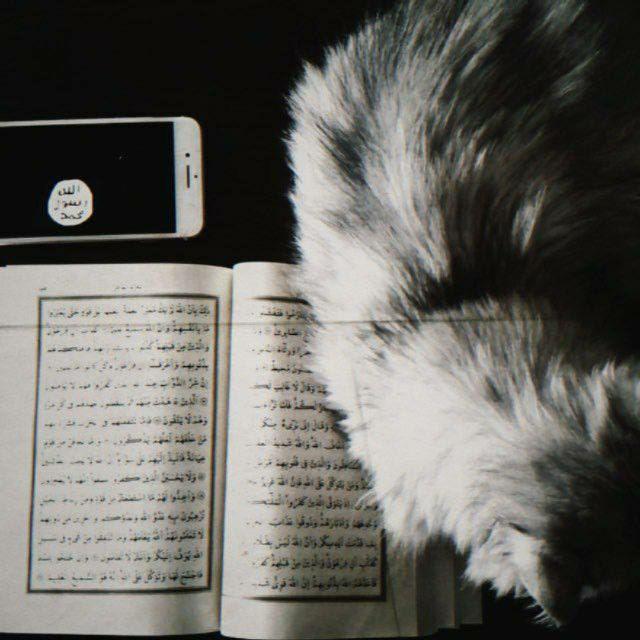 تَوْبَـة .