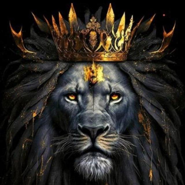 ASLAN AMCA TRADER