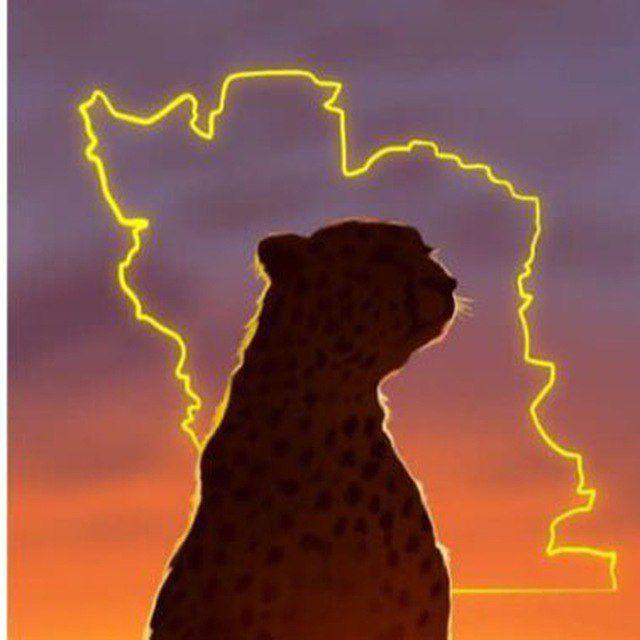🐅🐅ایران سرزمین مادری🐅🐅