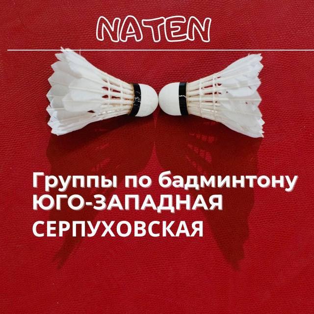 NATEN. Группы по бадминтону
