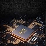 DSD HIFI DSF FLAC ALAC