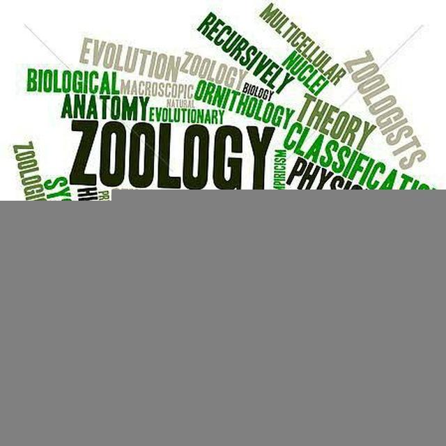NEET And BSC ZOOLOGY