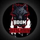 BOOM BINARY OPTION
