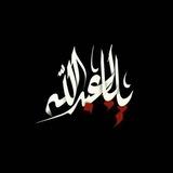 صور حسينية: •فيديوهات عاشوراء»