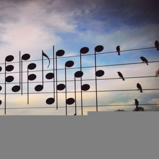 Music LOvers🎶