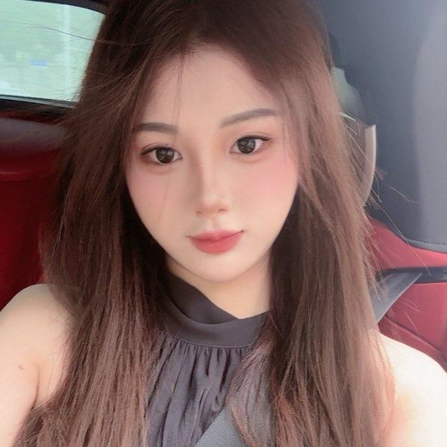 猫猫的小窝