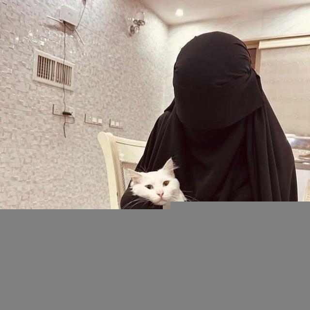 ملاذ التائهين 🤍🌿