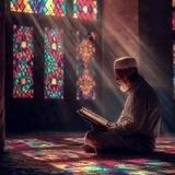 نور الإسلام