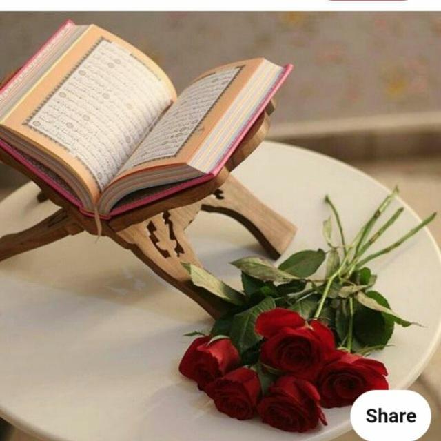 Beautiful Qur'an recitation videos