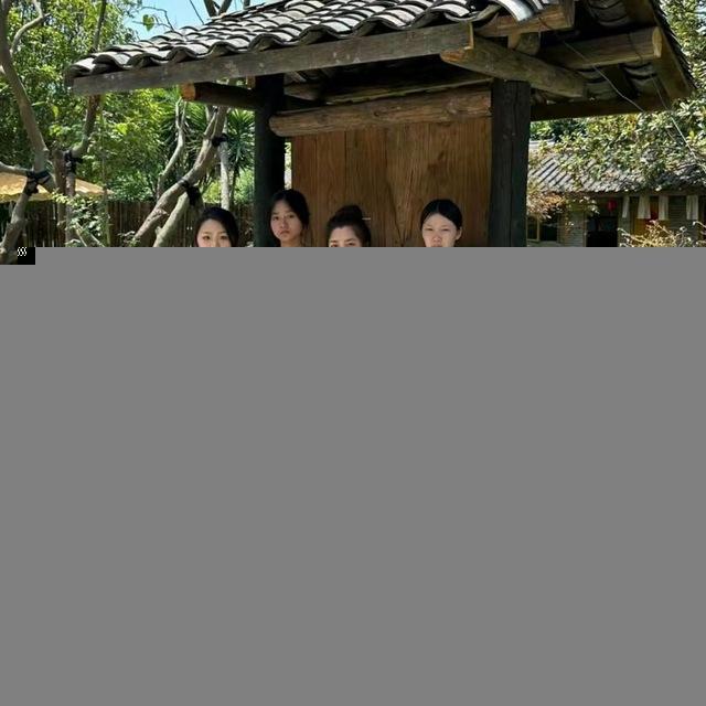 Wenjiang courtyard