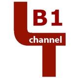 LingoTies B1-C1