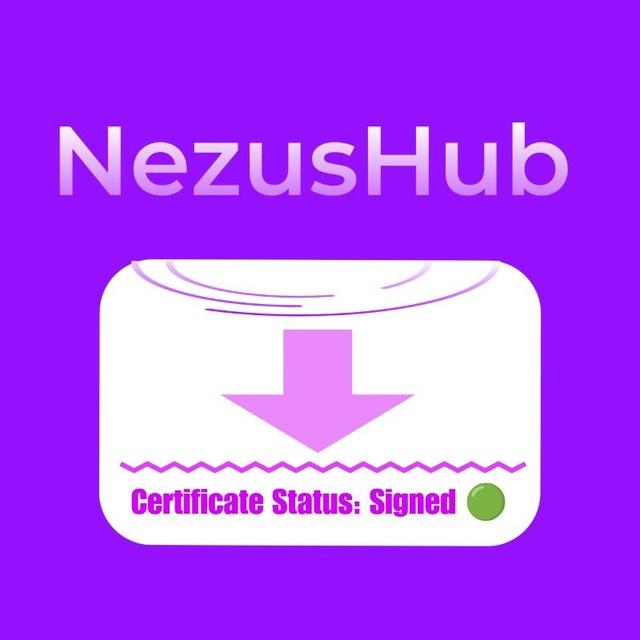 NezusHub │ Chat