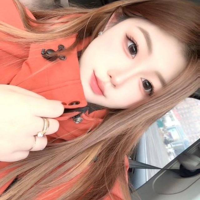 猫猫的小窝