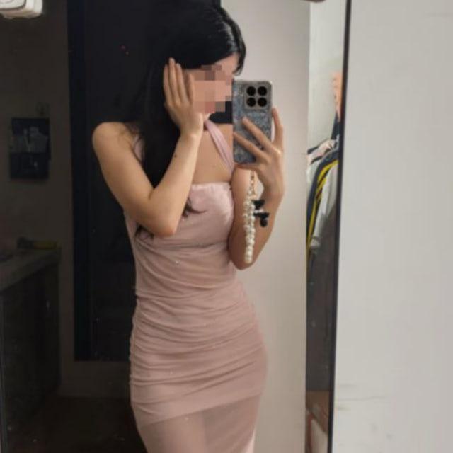 猫猫的小窝