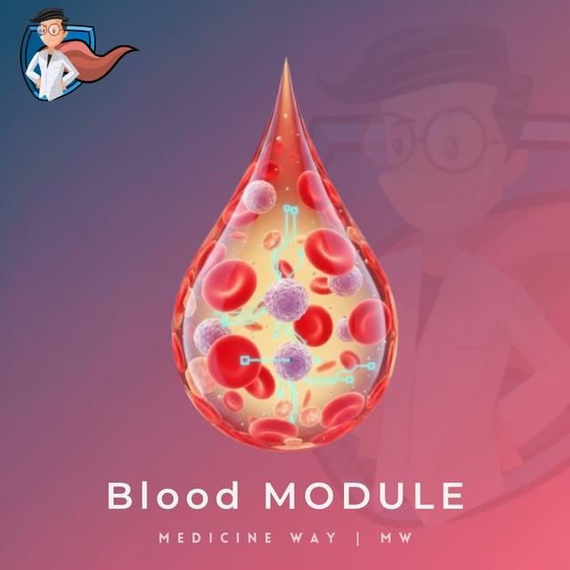 Blood & Immunology Module | MW