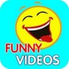 Funny Videos