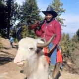 Salisu D Crypto