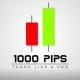 1000PIPS BUILDER (FOREX MARKET)®