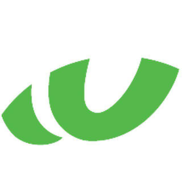 Wegagen Capital Investment Bank