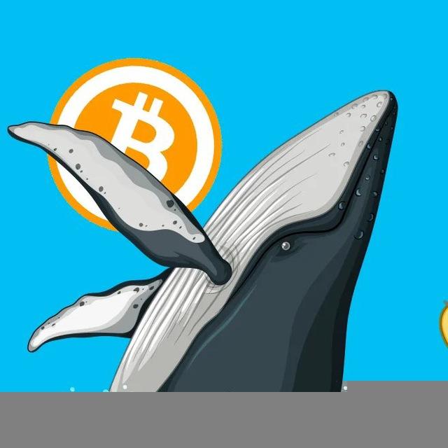 Китовый Движ 🐋
