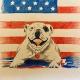 Patient Advocate Bulldog