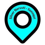 Silver Nervuti