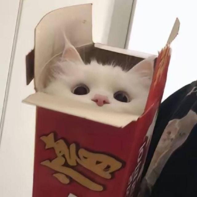 旧纸船的频道～