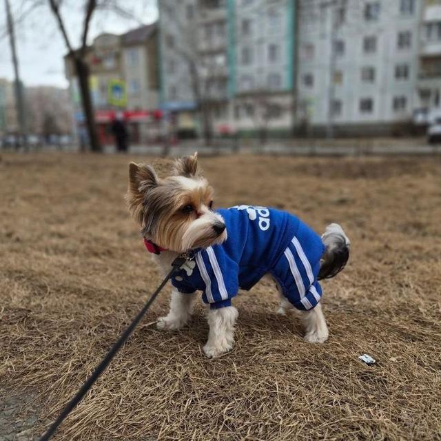 игры/лоты от 🖤ОСКАРА🖤