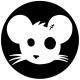Rats Kingdom