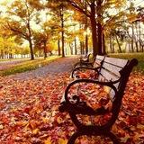 خزان🍁