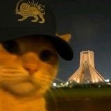 زیرنافی🥺