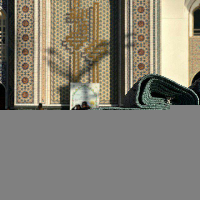 جَريح ألطفِ || ١َ٤َ٤َ٦َۿ .