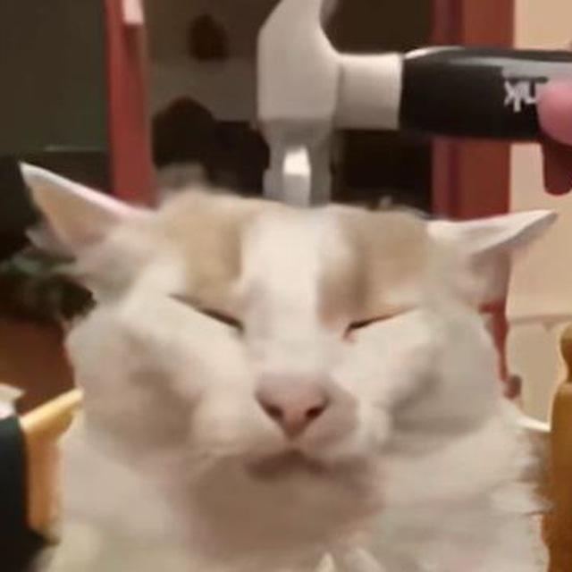 Susanidze