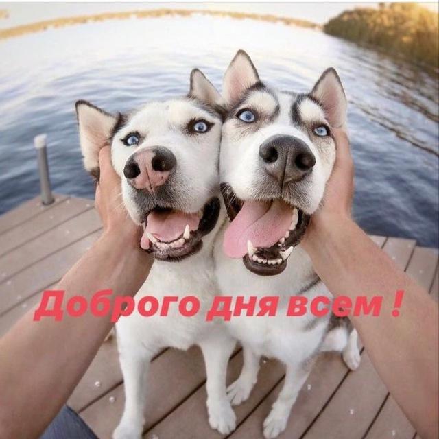 УВЛ Кировского района