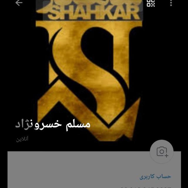 تولید و پخش لوازم چوبی شاهکار