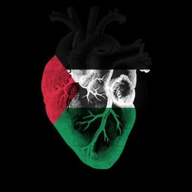 Ahmad Mamdouh - أحمد