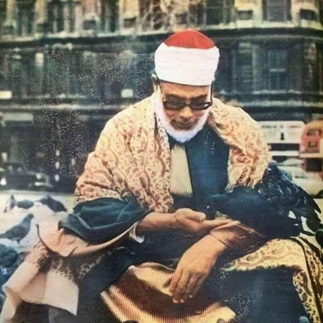 الشيخ محمود خليل الحصري
